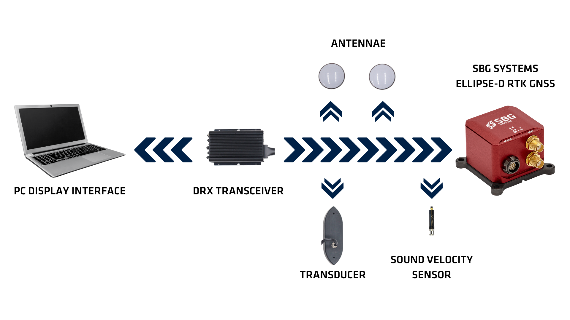 Wassp Kit With Ellipse D