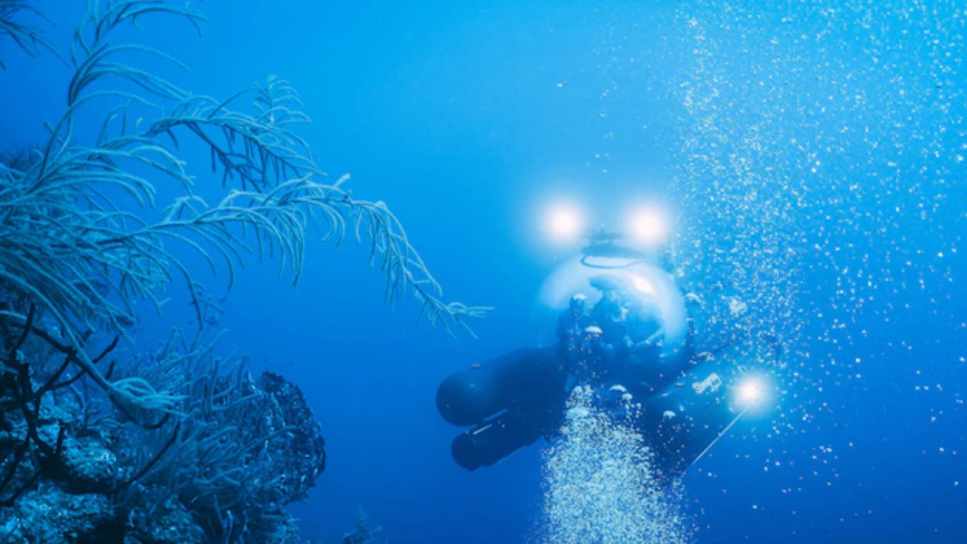 Stingray 500 Submarine Expedition In Belize
