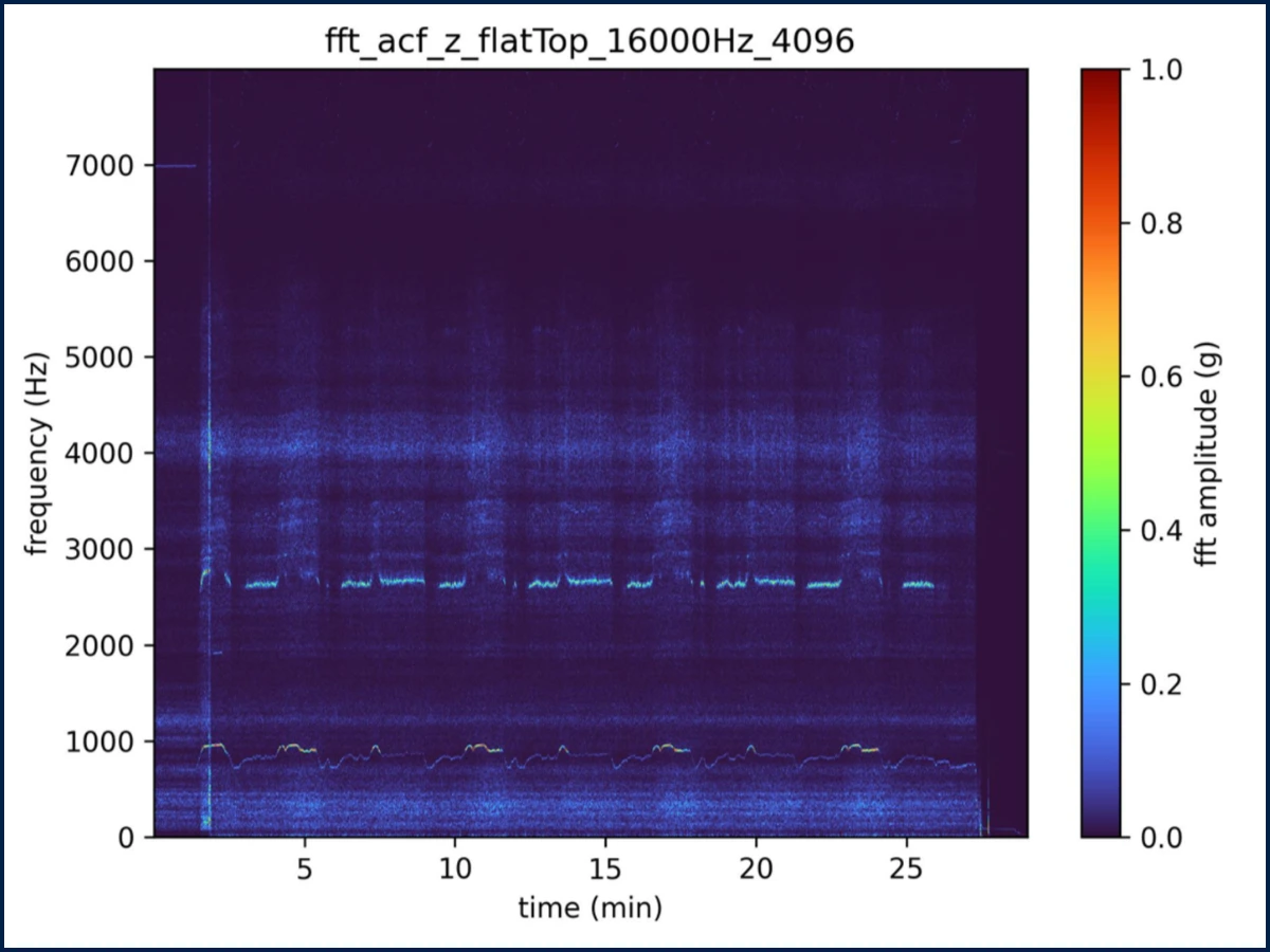 Vibration Spectrum FFT